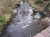 River Hogsmill Feb 2012