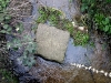 Penton Hook Spawning Channel