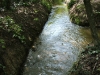 Penton Hook Spawning Channel