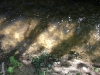 Penton Hook Spawning Channel