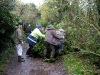 Path clearing at Richmond