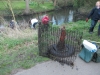 Crane Clean up April 2013 with 13th Twickenham Scout Grp