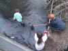 Crane Clean up April 2013 with 13th Twickenham Scout Grp
