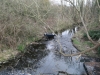 hogsmill-river1