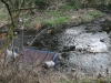 River Hogsmill Feb 2012