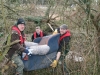 River Hogsmill Feb 2012