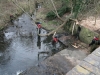 River Hogsmill Feb 2012