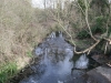 River Hogsmill Feb 2012