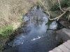 River Hogsmill Feb 2012