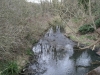 River Hogsmill Feb 2012