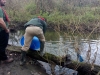 River Crane Stocking Dec 2014