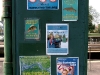 Teddington Lock posters