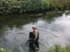 Molesey Eel Trap 2013