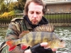 Perch 3.15