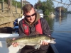 Molesey Zander