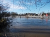 Massive Tidal Thames Perch