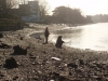 Tidal fishing at Kew