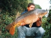 Huge Tidal Mirror Carp