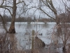 thames-floods-dec-2012-5