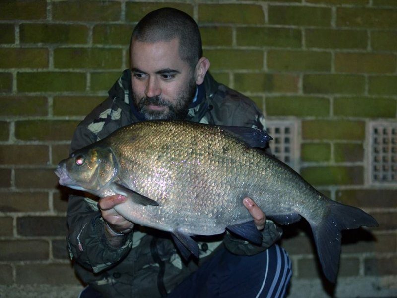 Rob Inns 1013 Bream