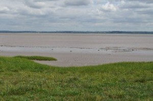 River Severn estuary at Sedbury Cliffs